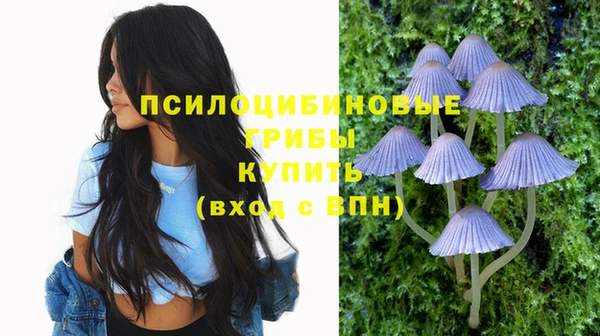 скорость mdpv Кукмор