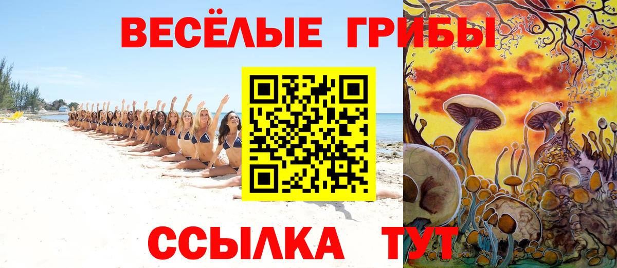 Псилоцибиновые грибы Psilocybine cubensis  что такое наркотик  Сунжа  Псилоцибиновые грибы мухоморы  Вход с VPN 
