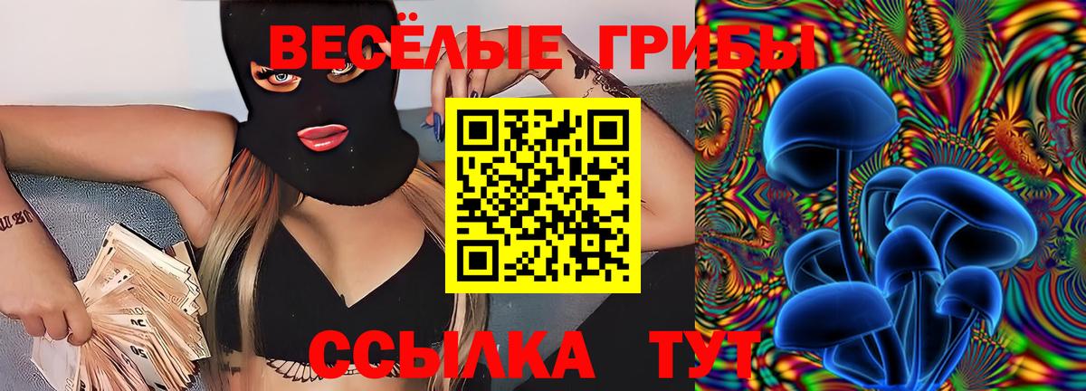 купить наркотик  Сунжа  Галлюциногенные грибы прущие грибы 